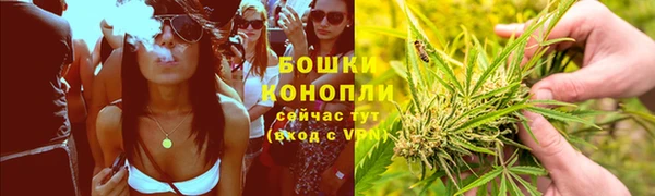 ПСИЛОЦИБИНОВЫЕ ГРИБЫ Зеленокумск