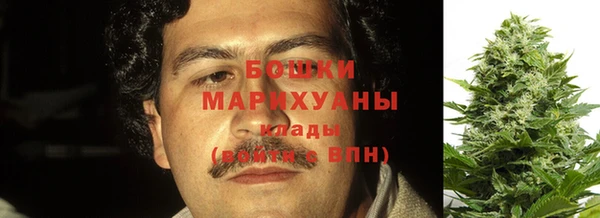 сатива Зерноград