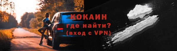 сатива Зерноград
