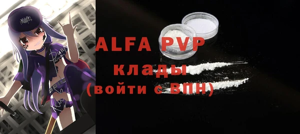 индика Инсар