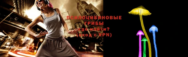 ПСИЛОЦИБИНОВЫЕ ГРИБЫ Зеленокумск