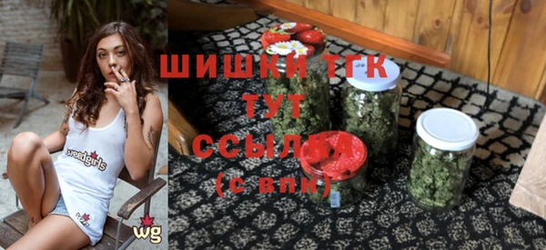 сатива Зерноград