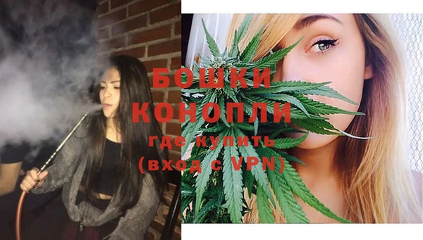 ПСИЛОЦИБИНОВЫЕ ГРИБЫ Зеленокумск