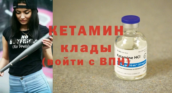 сатива Зерноград